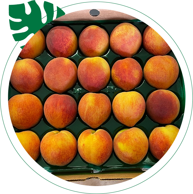 Mitcham Farms Peach Store